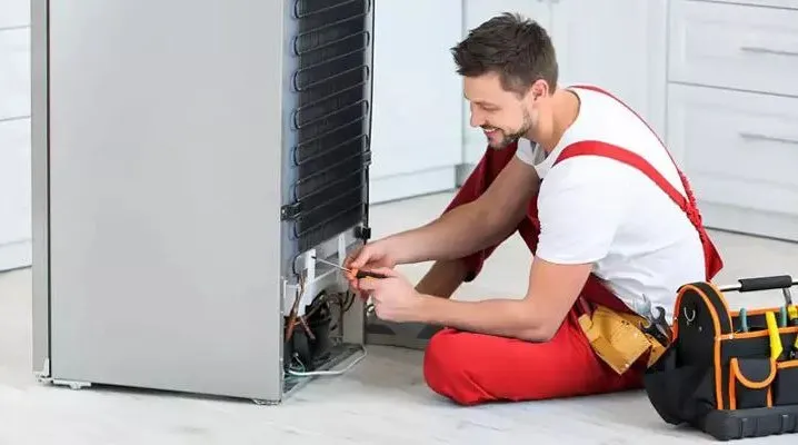 تعمیرکار یخچال اسنوا